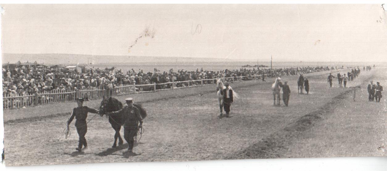 Сурхарбан, подготовка к скачкам, 1959 г.