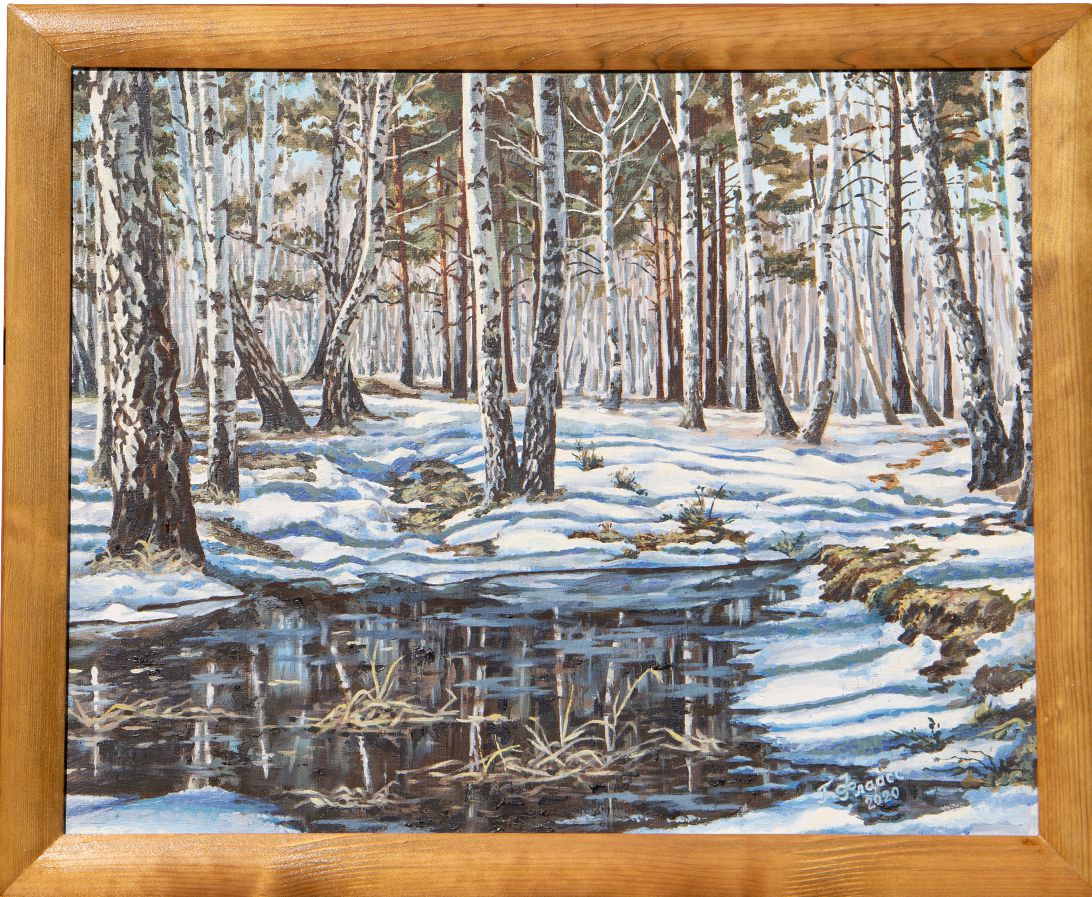 Весенняя лужа в Синюшинской роще