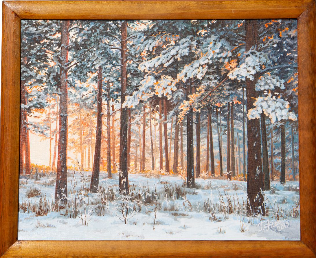 Сосны на закате. Курорт Ангара