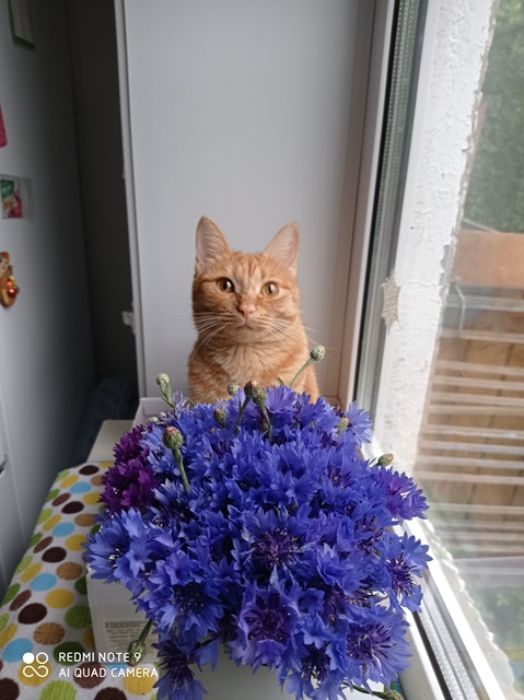 Абрамова Татьяна г. Тайшет Красота спасет мир