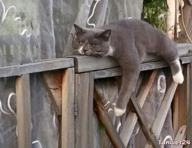 Безымянный3