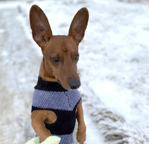 Безымянный5