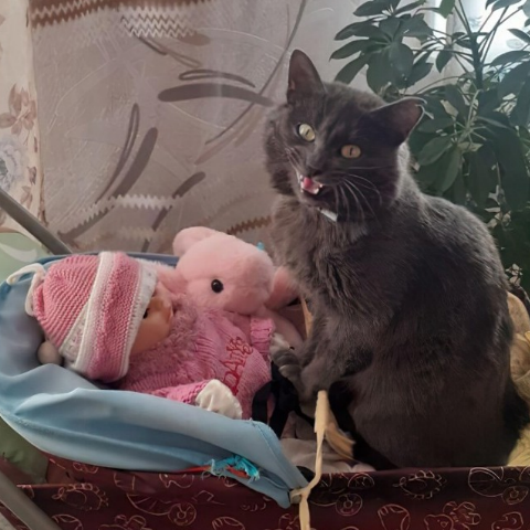 Безымянный9