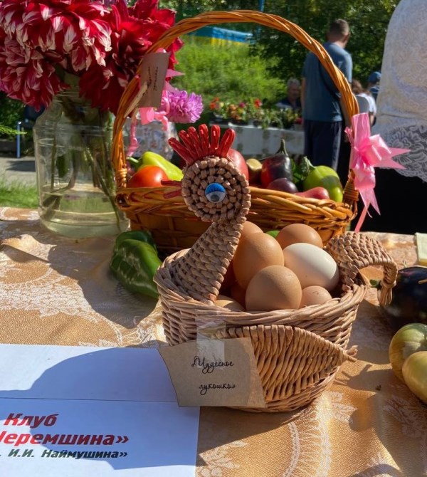 5357580001198858257 121