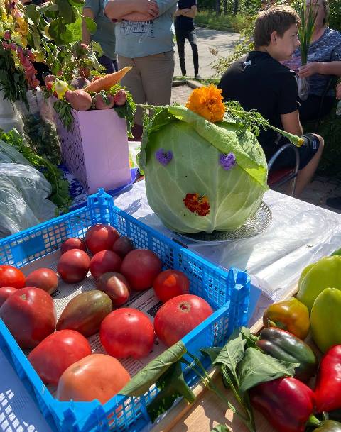 5357580001198858262 121