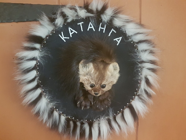 viber image 2019 02 27 15.20.23