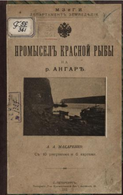 Промысел красной рыбы на Ангаре