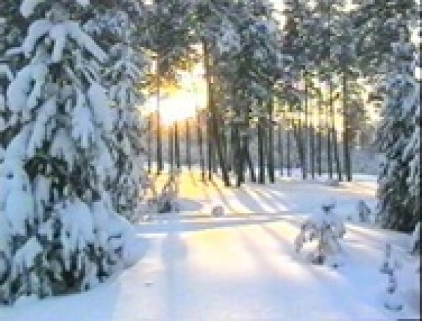 1789963c93f14377406204a5c197f3cc L